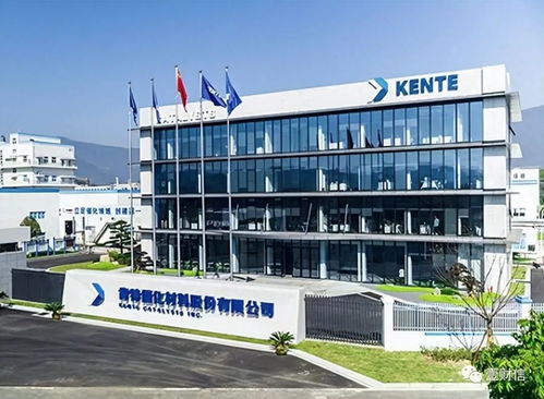 肯特催化戰略失衡 重銷售管理輕研發，技術開發人員薪酬雙標引關注